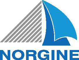 Norgine Induction of Labour Portal
